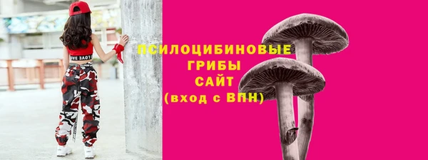 ALPHA PVP Богданович