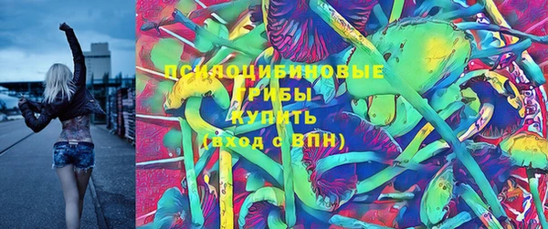 ALPHA PVP Богданович